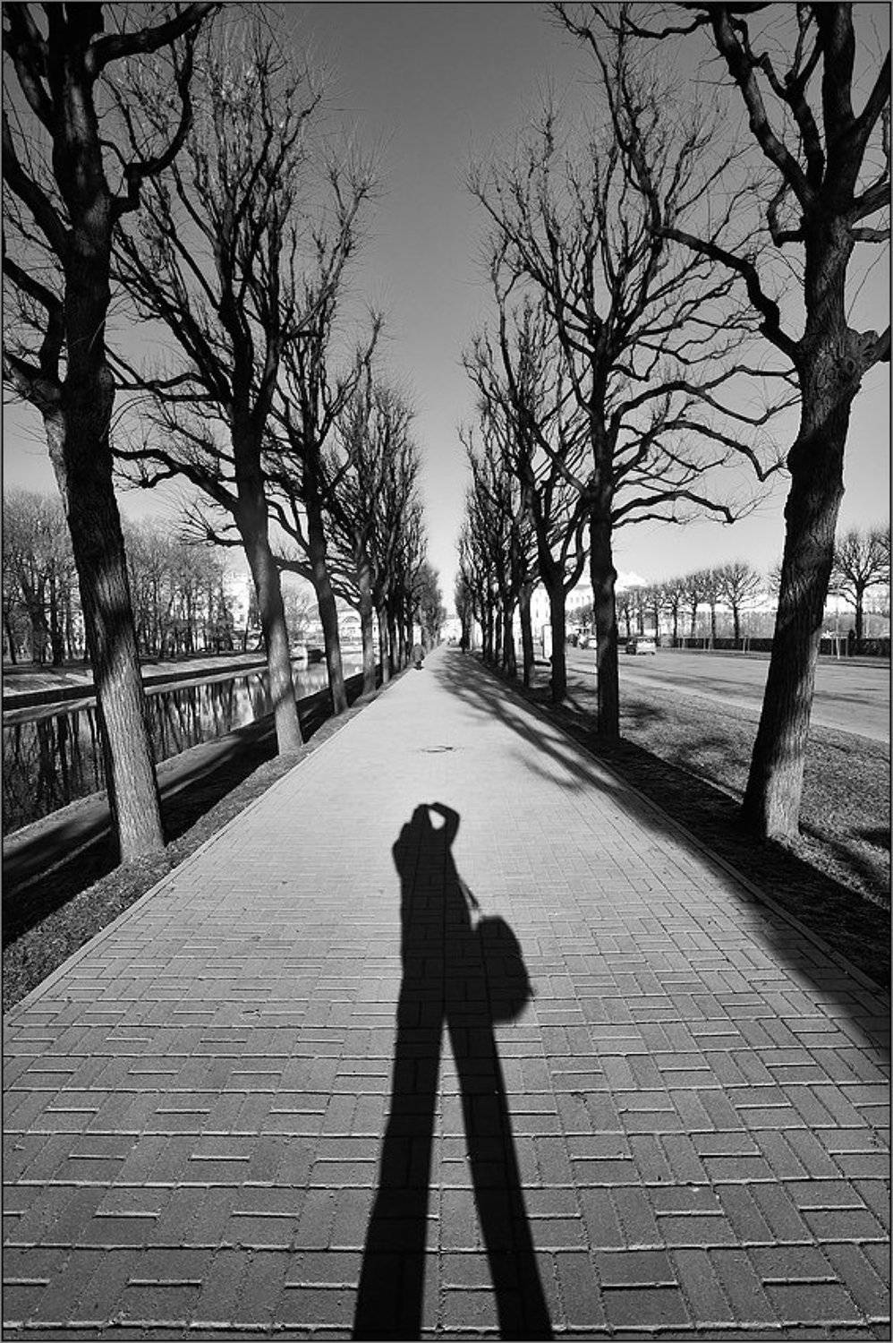 автопортрет, чб, антураж, entourage, Kirill Shapovalov