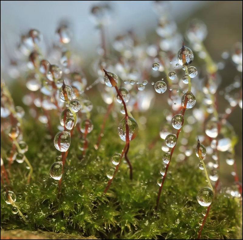 , Андрей Осокин