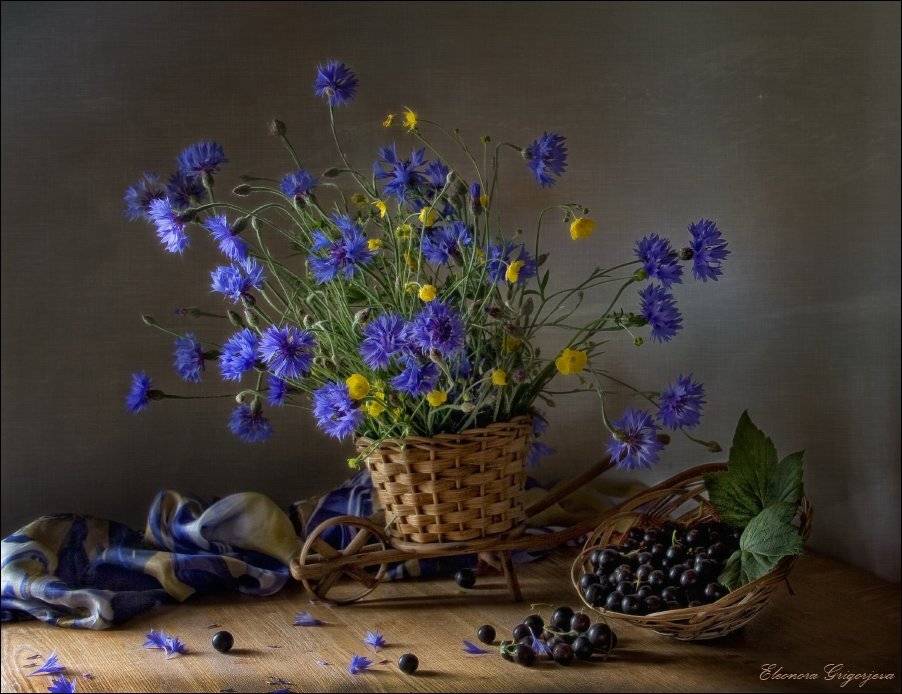 , Eleonora Grigorjeva