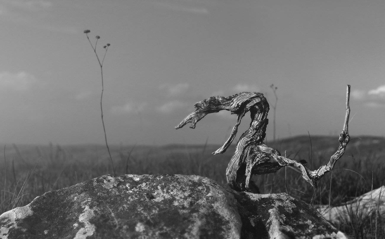 , Михаил  Пилипенко