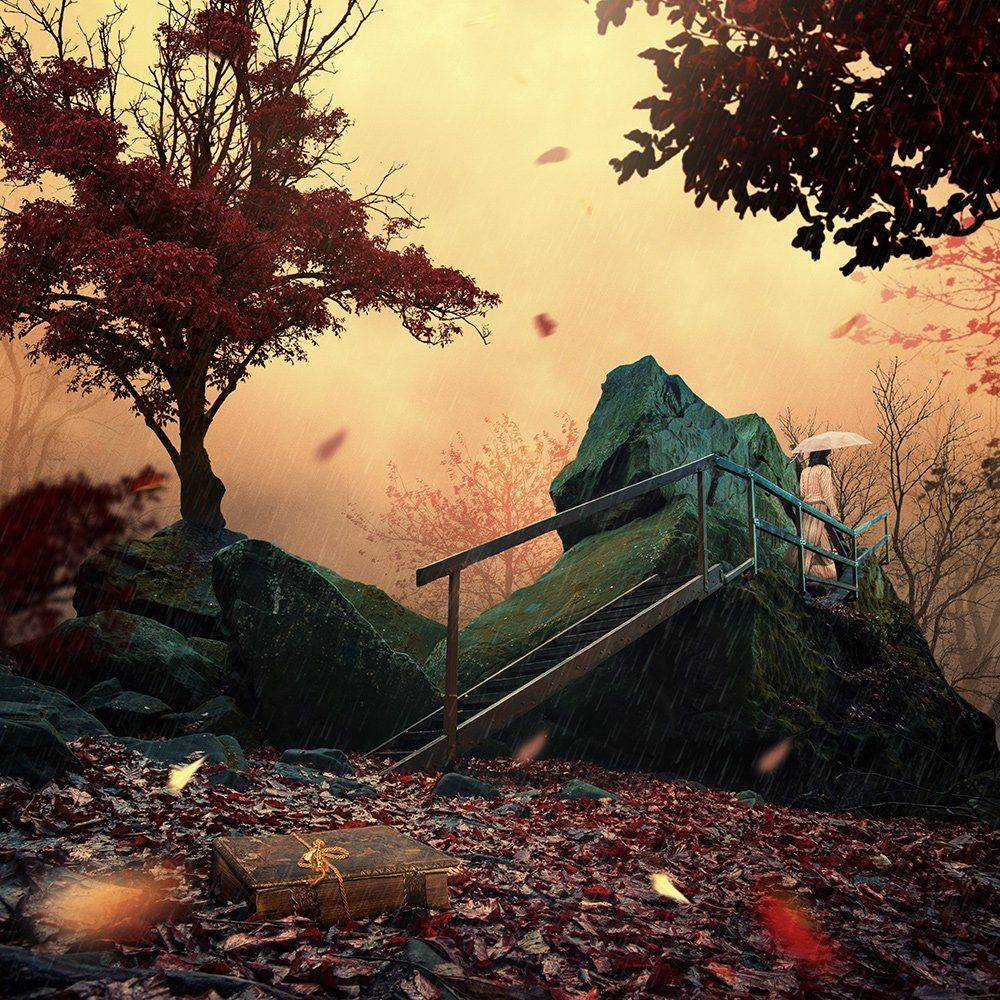 girl, book, leaf, forest, tree, fantasy, psd, tutorials, manipulation, sky, light, rain, umbrella, stairs, wood, rocks, Caras Ionut
