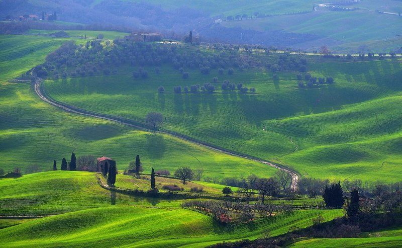 Про соседа, у которого корова жива. фото превью