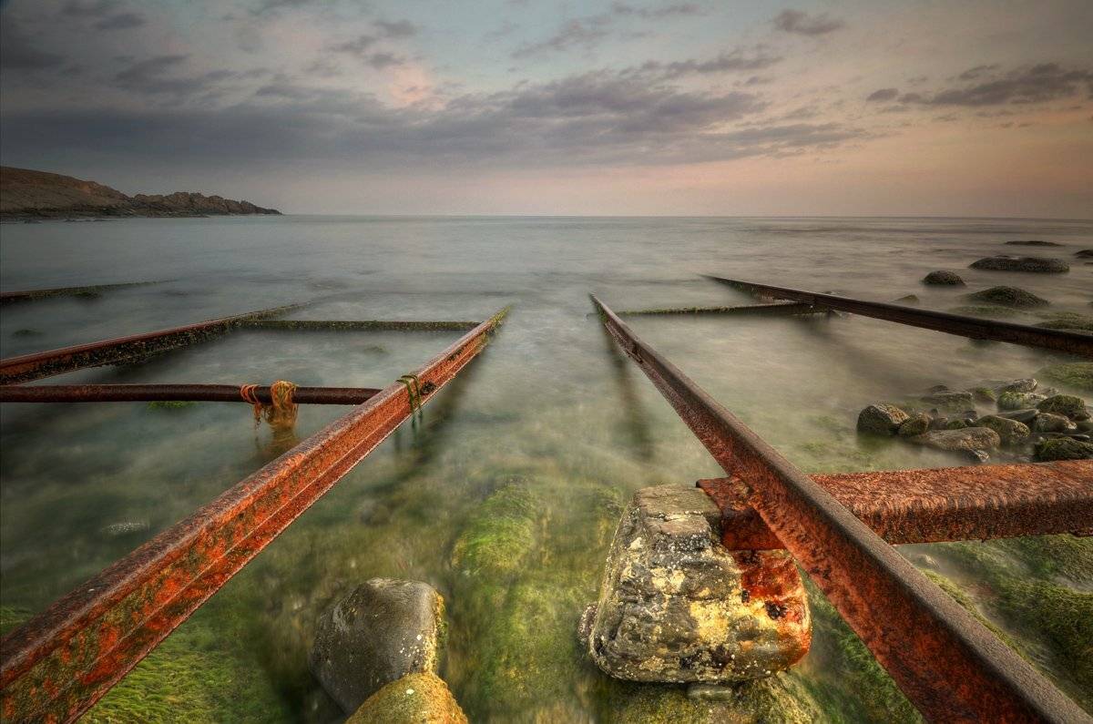 , Румен Паисиев