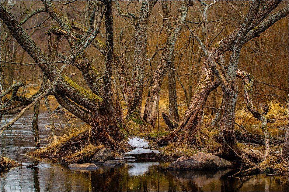 , Бурлов Андрей