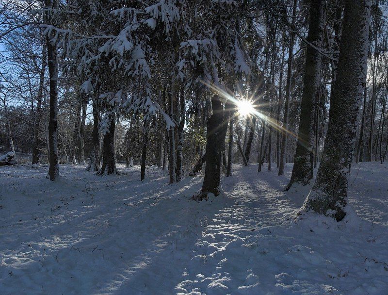 закат, контровой свет, ранняя весна, март ~67~ фото превью