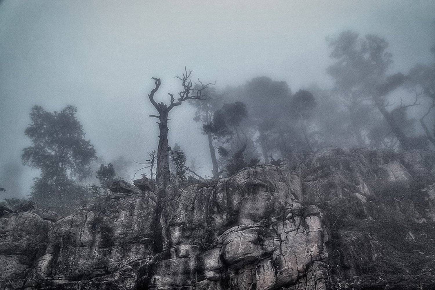 , Баранов Евгений