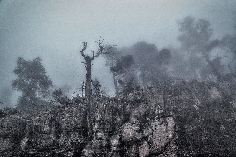 стражи фото превью