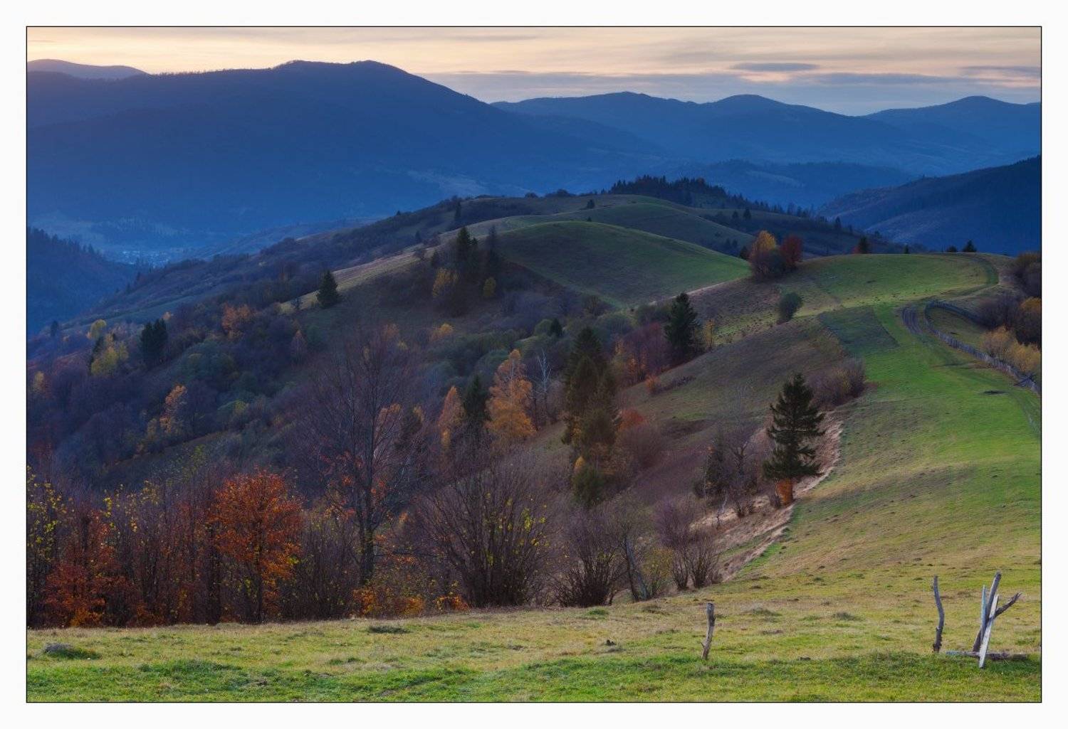 карпаты, Михаил Мигушин