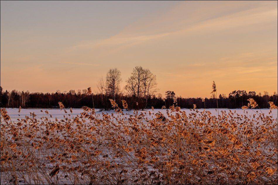 , Бурлов Андрей