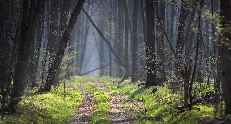 Теорема фото превью