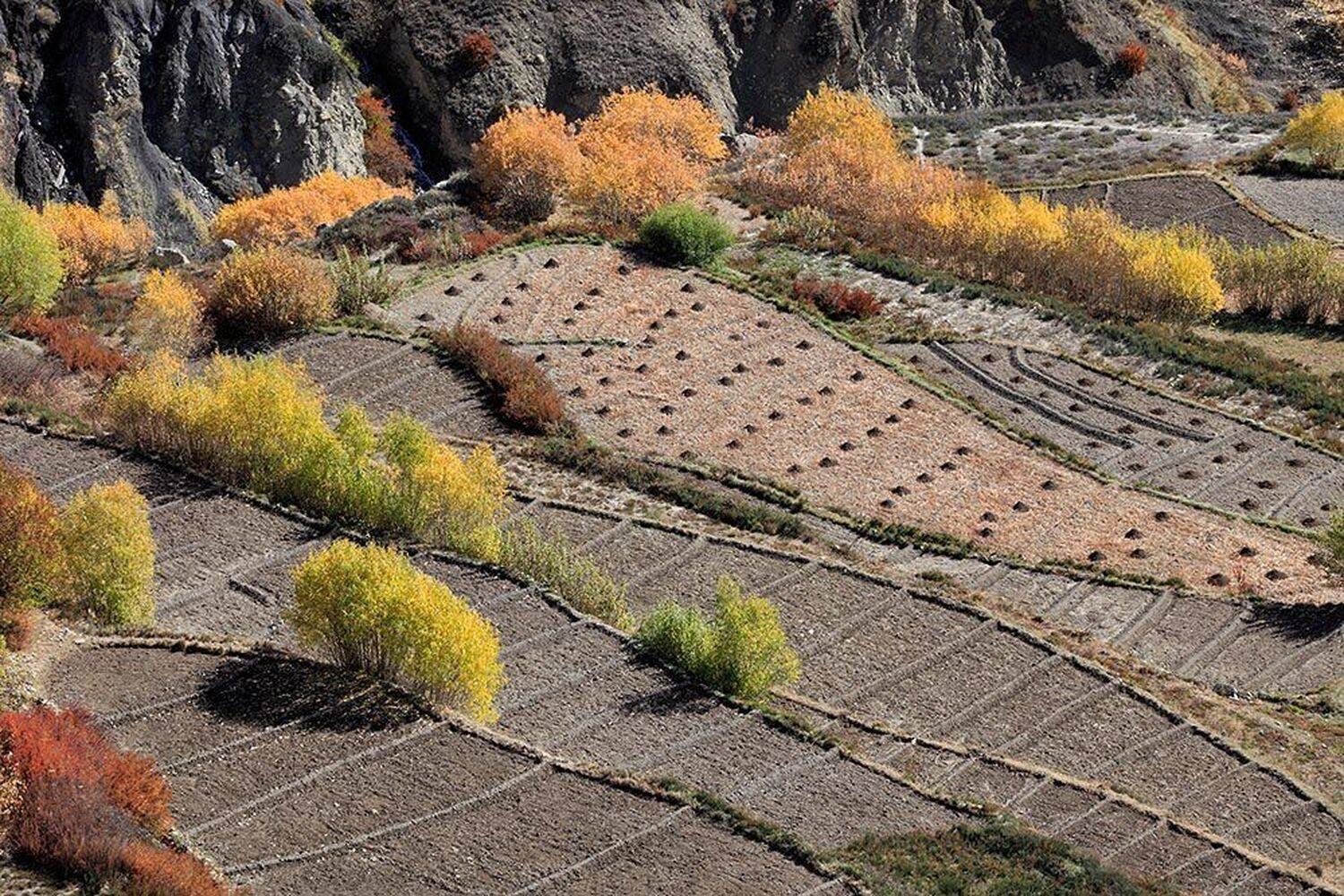 , Гилев Сергей
