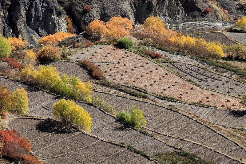 Осень в Гималаях фото превью