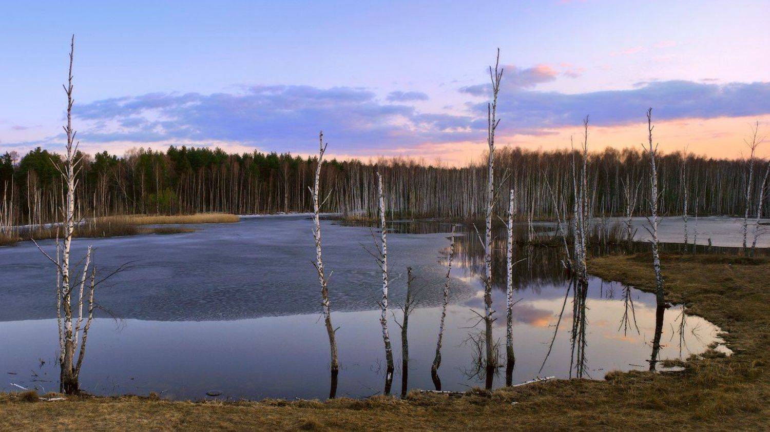 апрель, саврасово, вечер, Дмитрий Алексеев