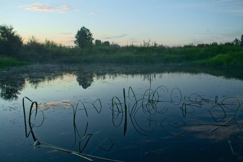 , Николай Морский