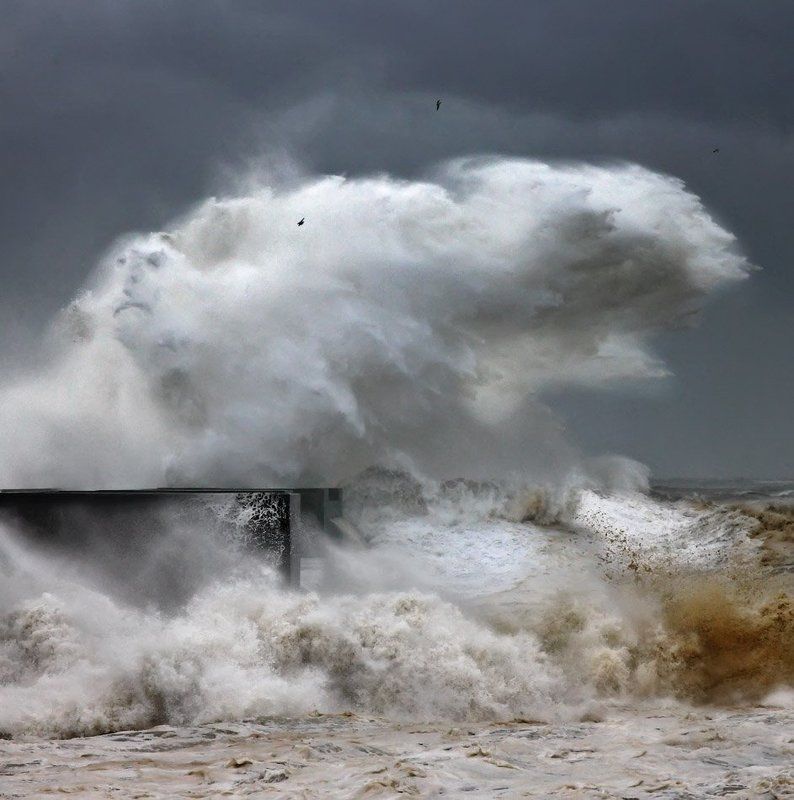 The Man of the Ocean фото превью