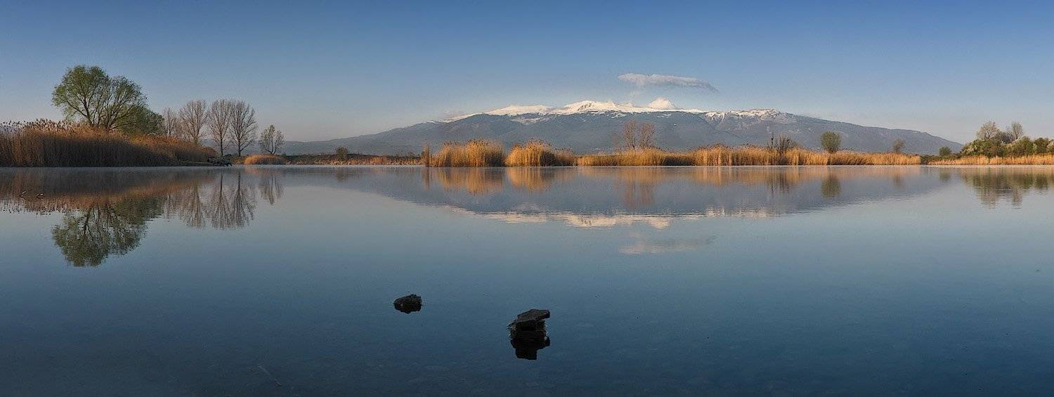 , Ирина Костова