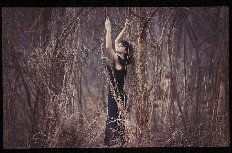 Серый дым фото превью