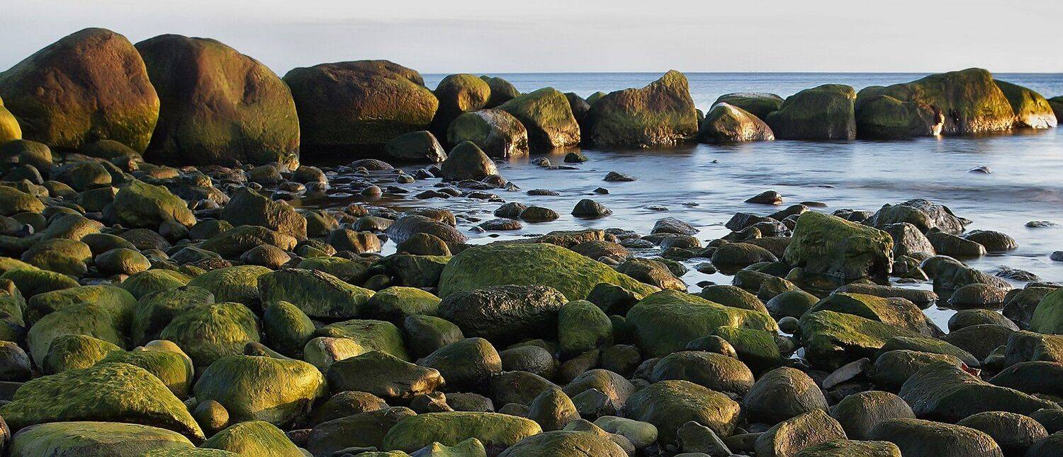 море, камни, Игорь Дубровский