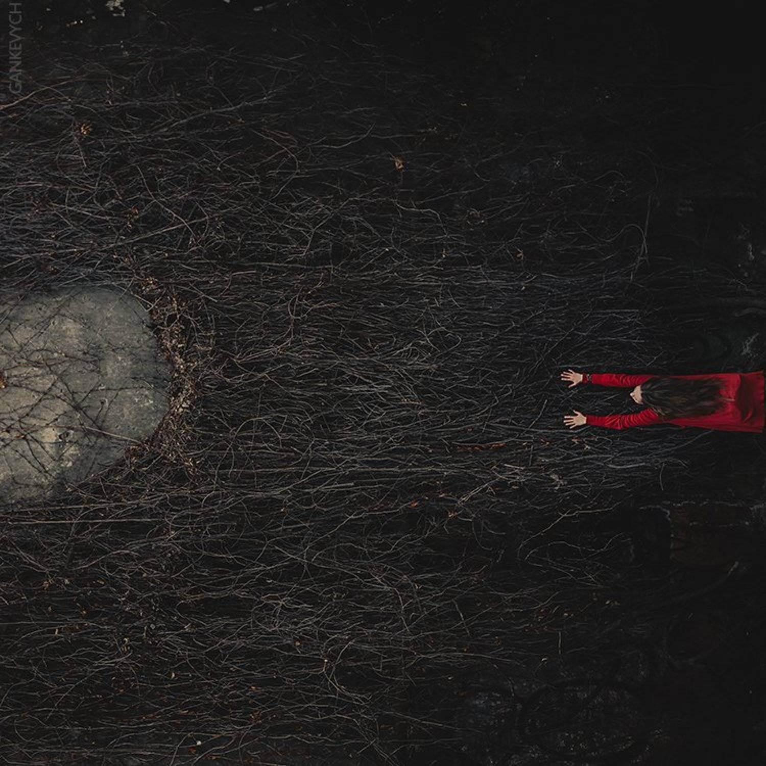 , Тарас Ганкевич