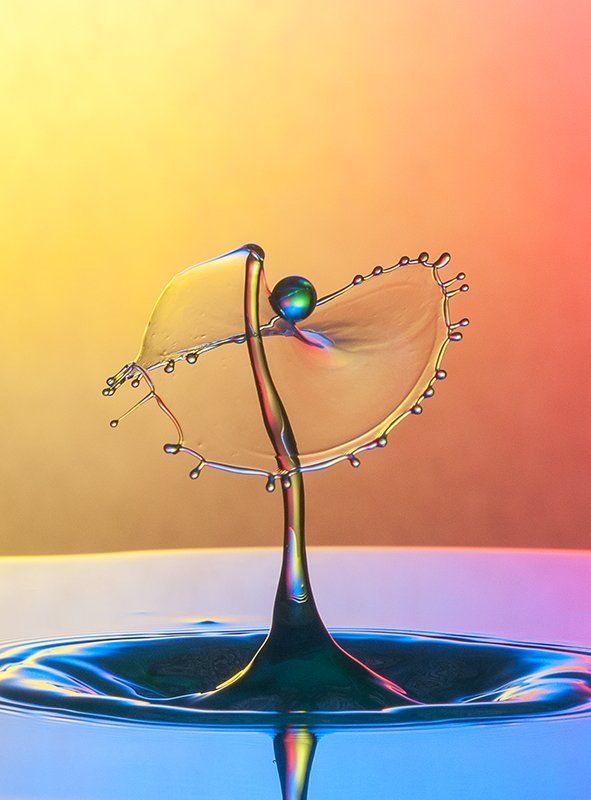 drop catcher фото превью