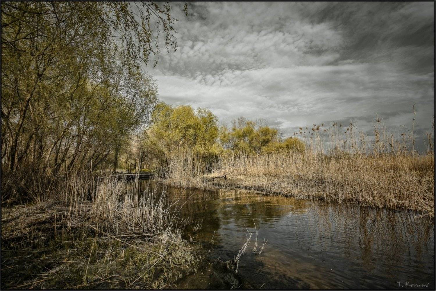 , Татьяна Корнус