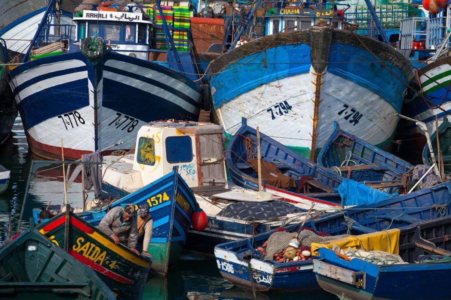 , Андрей Перешеин