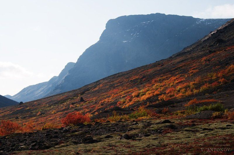 Хибинские зарисовки 2 фото превью