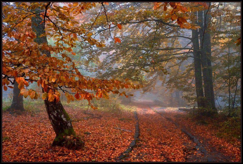 bulgaria, vitosha, Svetoslav