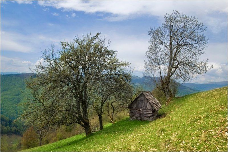 Весенняя избушка... фото превью