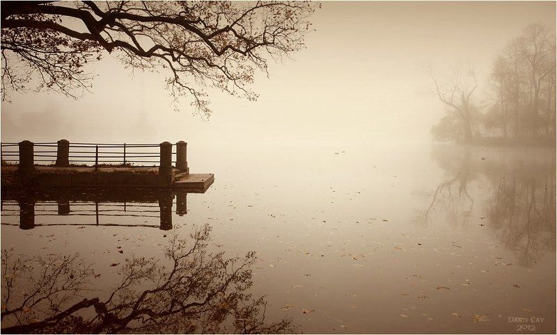 питер, парк, туман, пристань, ветки,  отражение, листва, остров Осеннее хокку фото превью
