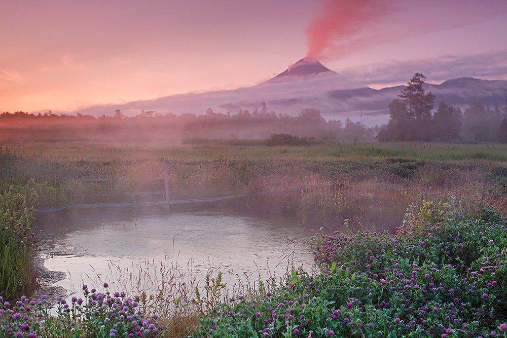 камчатка, вулкан, кизимен, лето, источник,, Денис Будьков