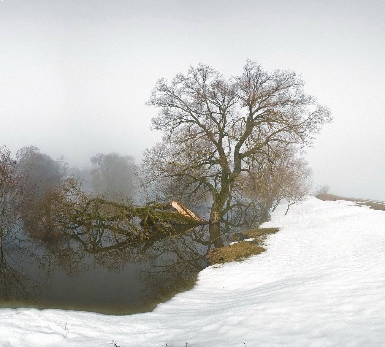 , Вилюнов Дмитрий