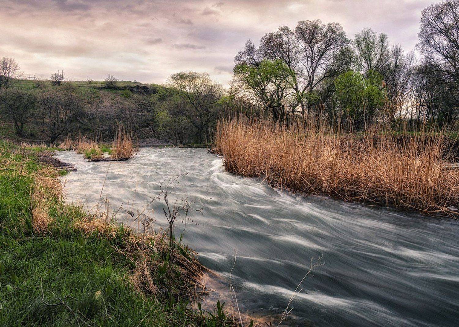 , Игорь Мелекесцев