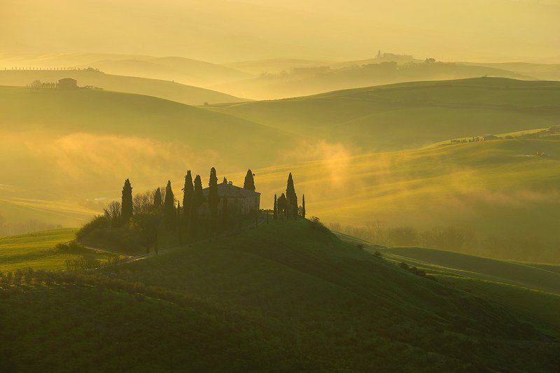 Early spring  II фото превью
