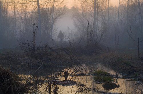 Апрельский вечер