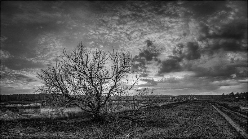 Апрельский вечер фото превью