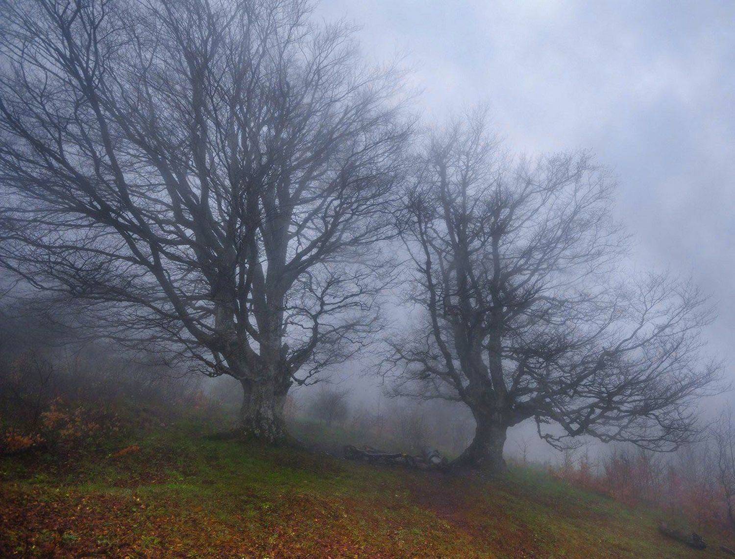 , Артём Маковский