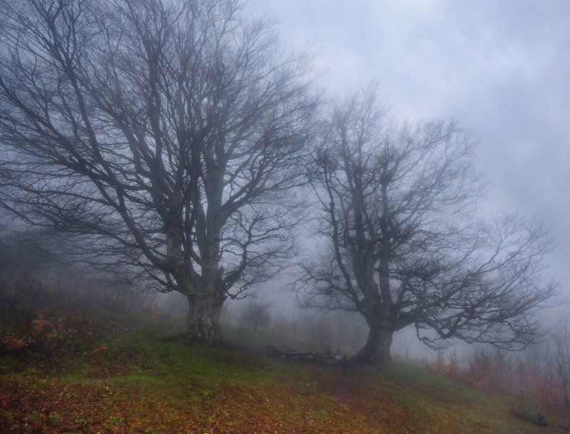 ... фото превью