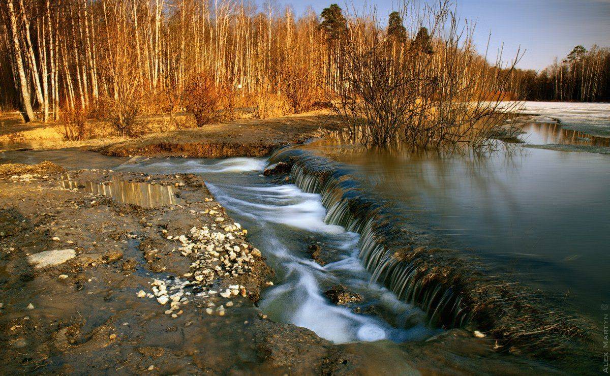 , Alexander Martynov