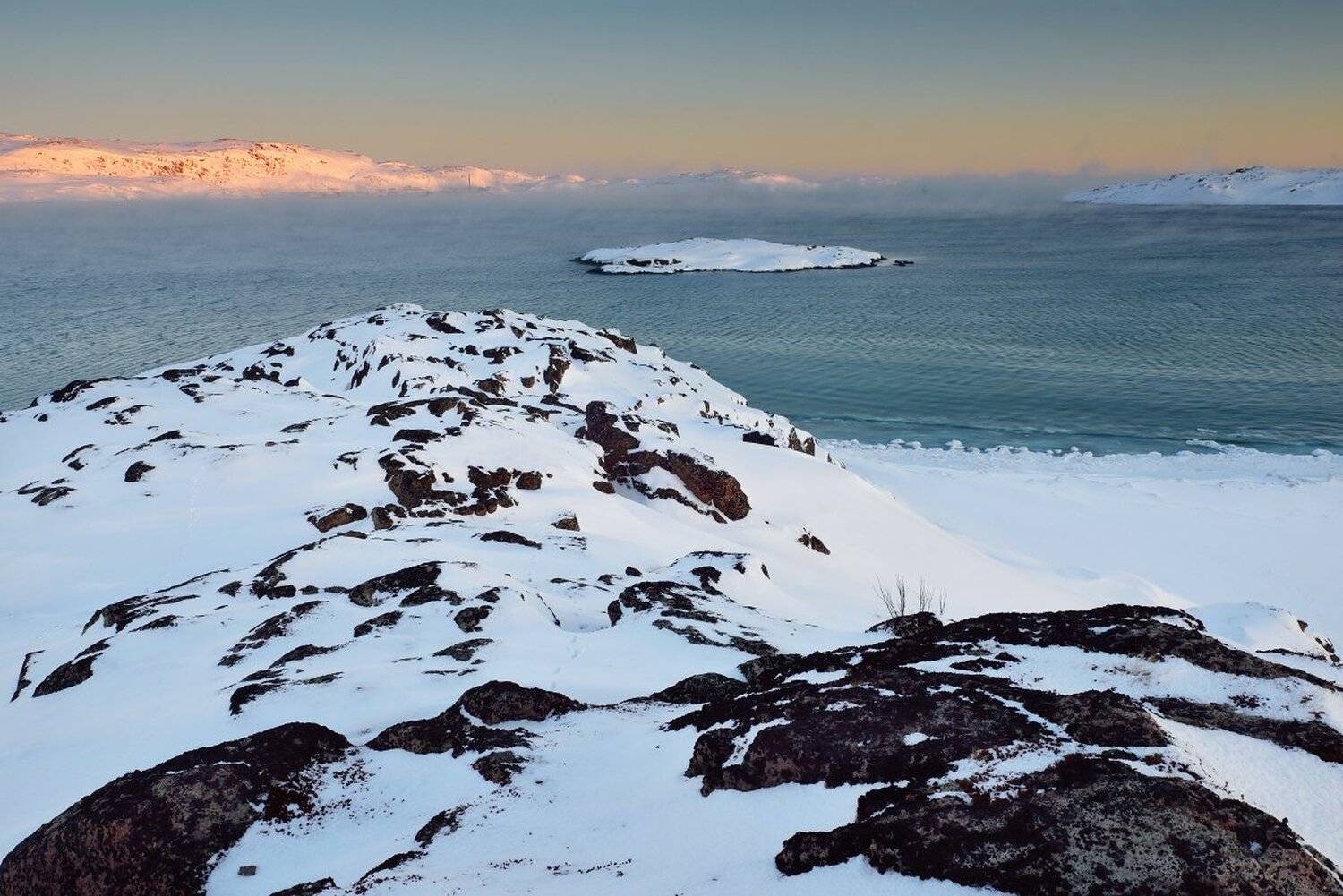 , Максим Евдокимов