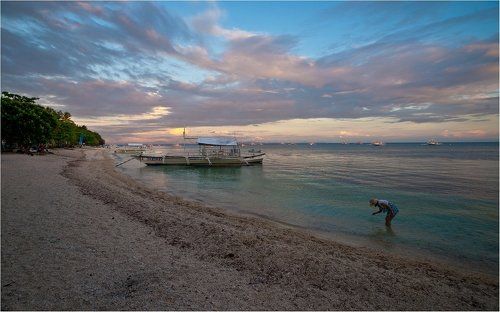 сиреневое растворение