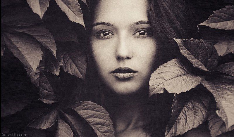 *** фото превью