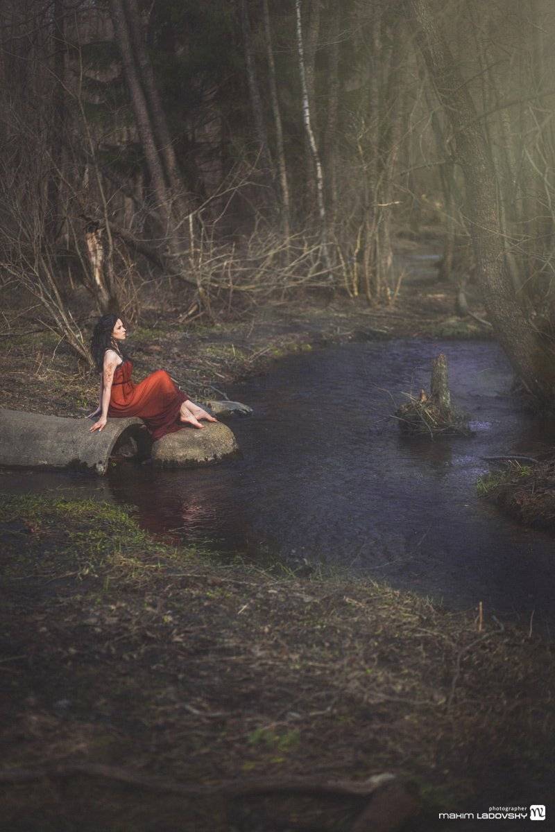 , Ладовский Максим