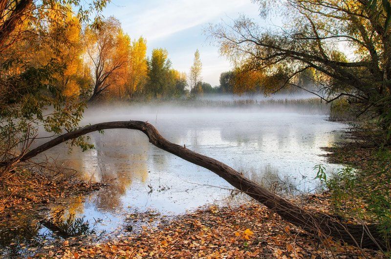 - фото превью