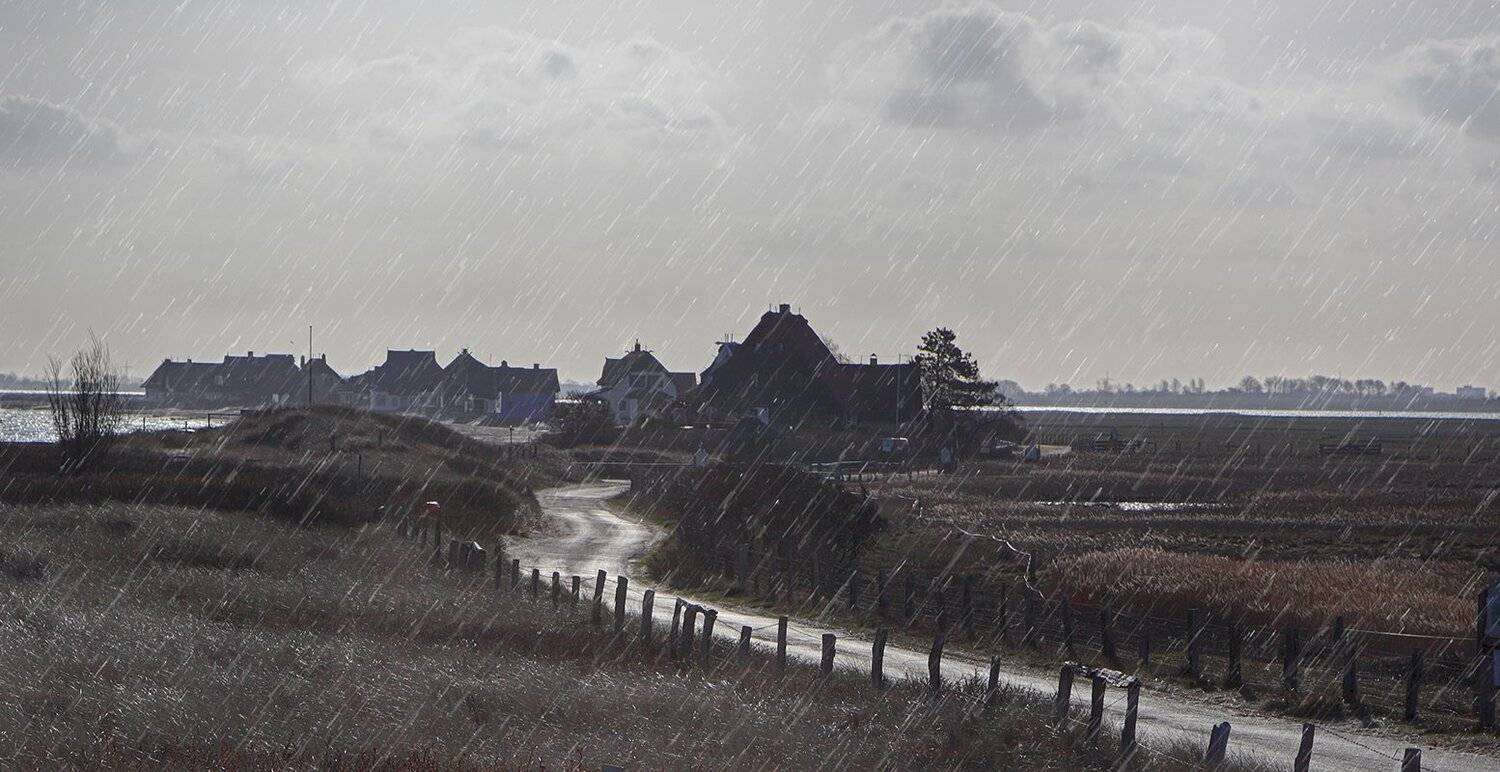 германия, весна,дождь, Игорь Дубровский