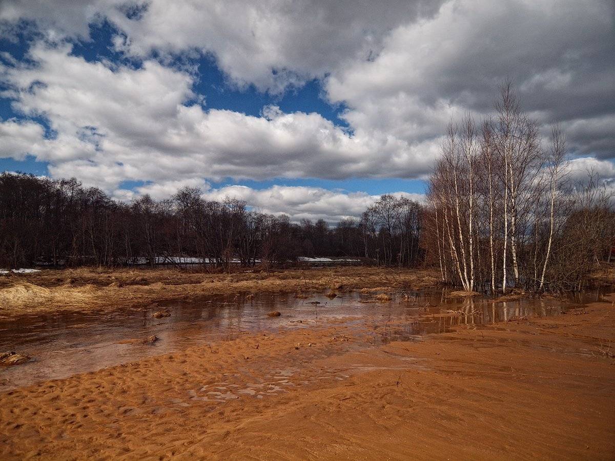 , Владимир Перепечаев
