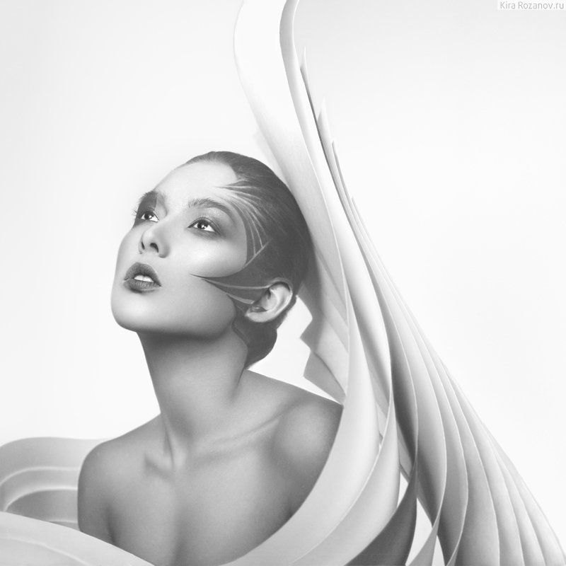 Lines фото превью