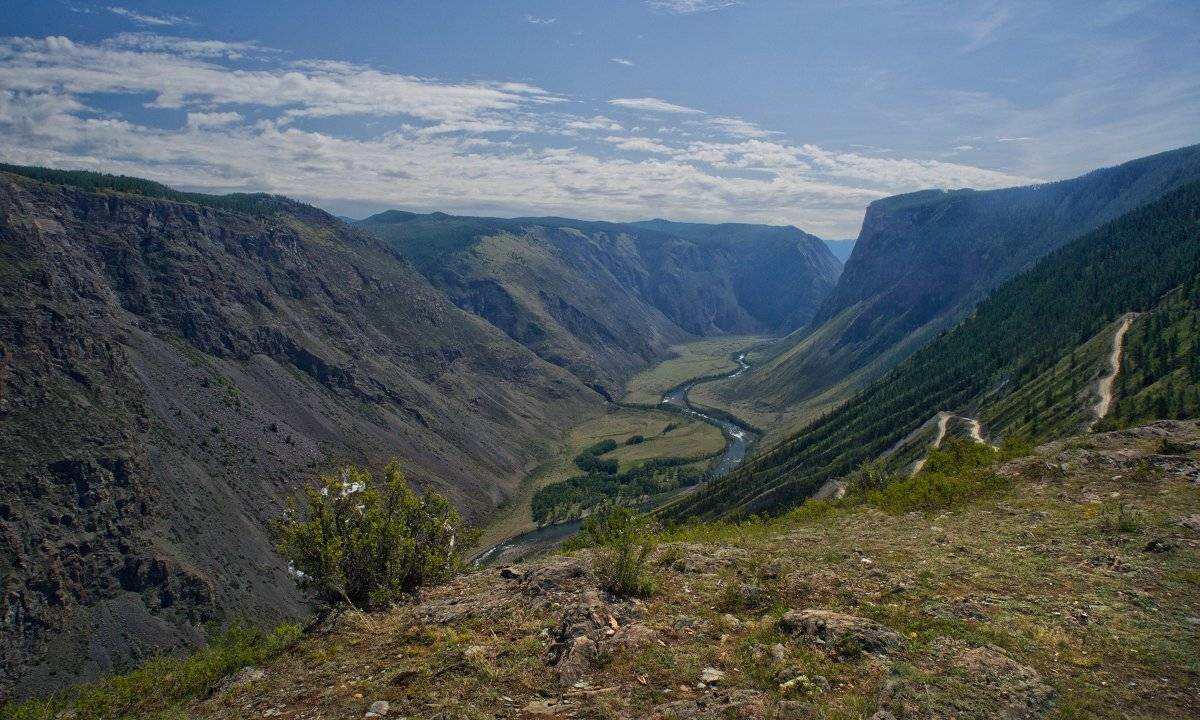 , Николай Ляпин