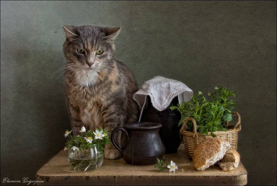 , Eleonora Grigorjeva