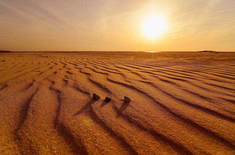 , Клименко Геннадий